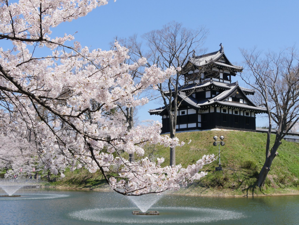 高田城址公園観桜会