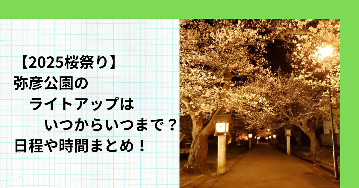 【2025桜祭り】弥彦公園のライトアップはいつからいつまで？日程や時間まとめ！