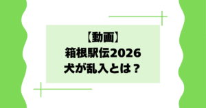【動画】箱根駅伝2026で犬が乱入とは？ポメラニアンの飛び出しが話題に！