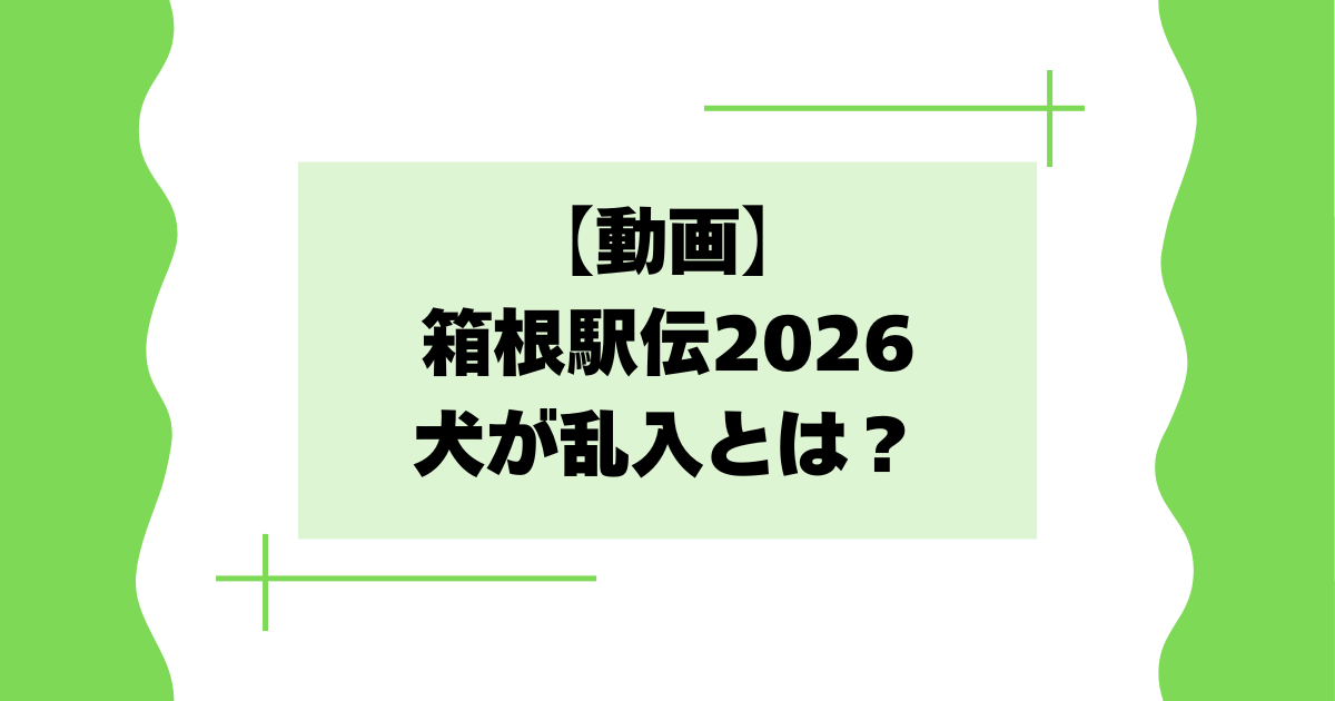 【動画】箱根駅伝2026で犬が乱入とは？ポメラニアンの飛び出しが話題に！