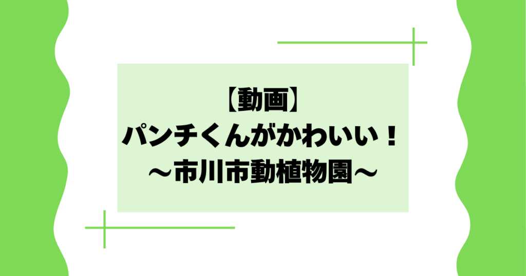 【動画】パンチくんがかわいい！市川市動植物園の猿が大人気！