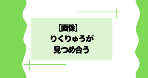 【画像】りくりゅうが見つめ合う！キスシーン？と話題に！【フィギュアスケート】