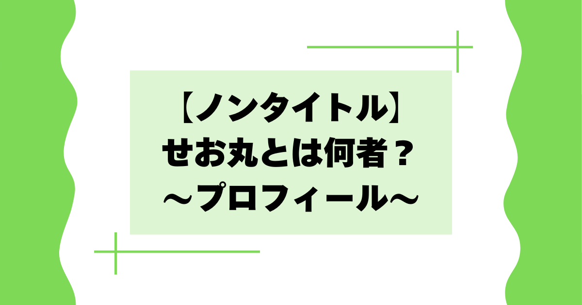 【ノンタイトル】せお丸とは何者？本名や会社などプロフィール紹介！