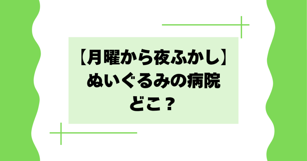 【月曜から夜ふかし】ぬいぐるみの病院はどこ？料金や入院期間も！
