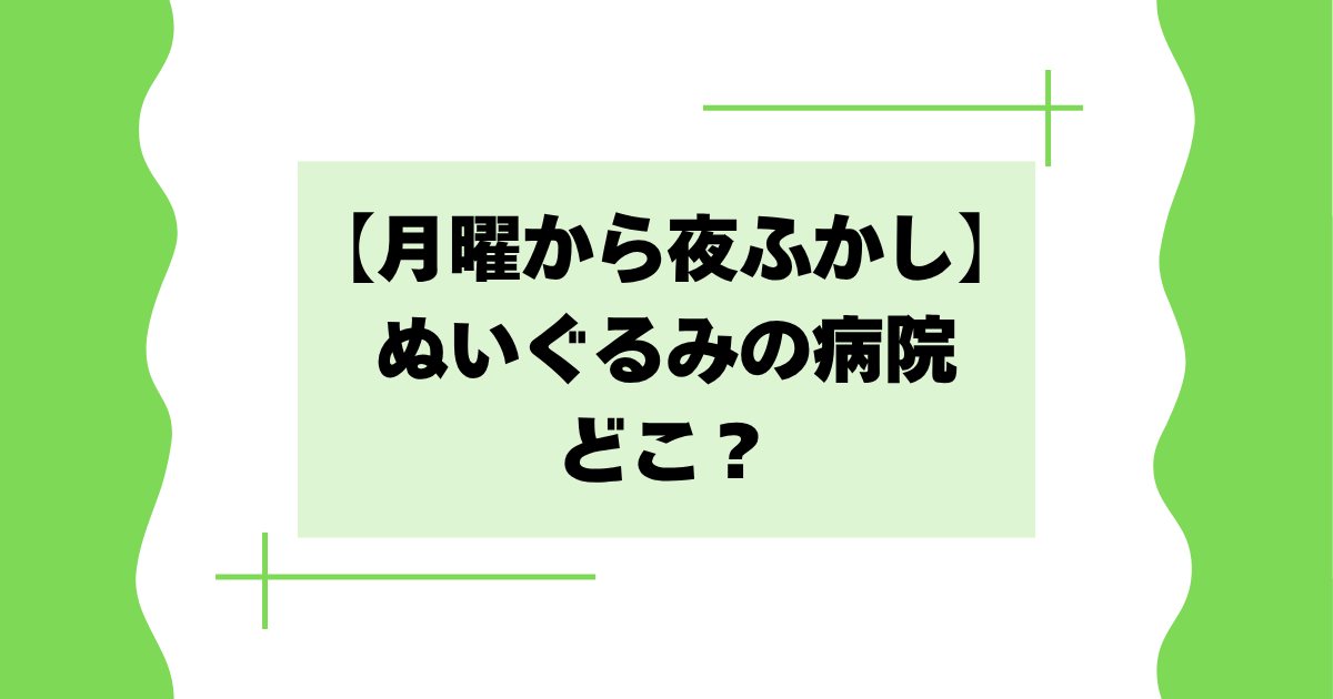 【月曜から夜ふかし】ぬいぐるみの病院はどこ？料金や入院期間も！